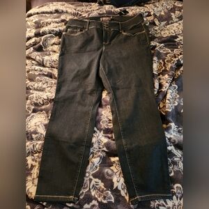 NWT Torrid Brand jeggins jeans sz 22 R 3 button closure